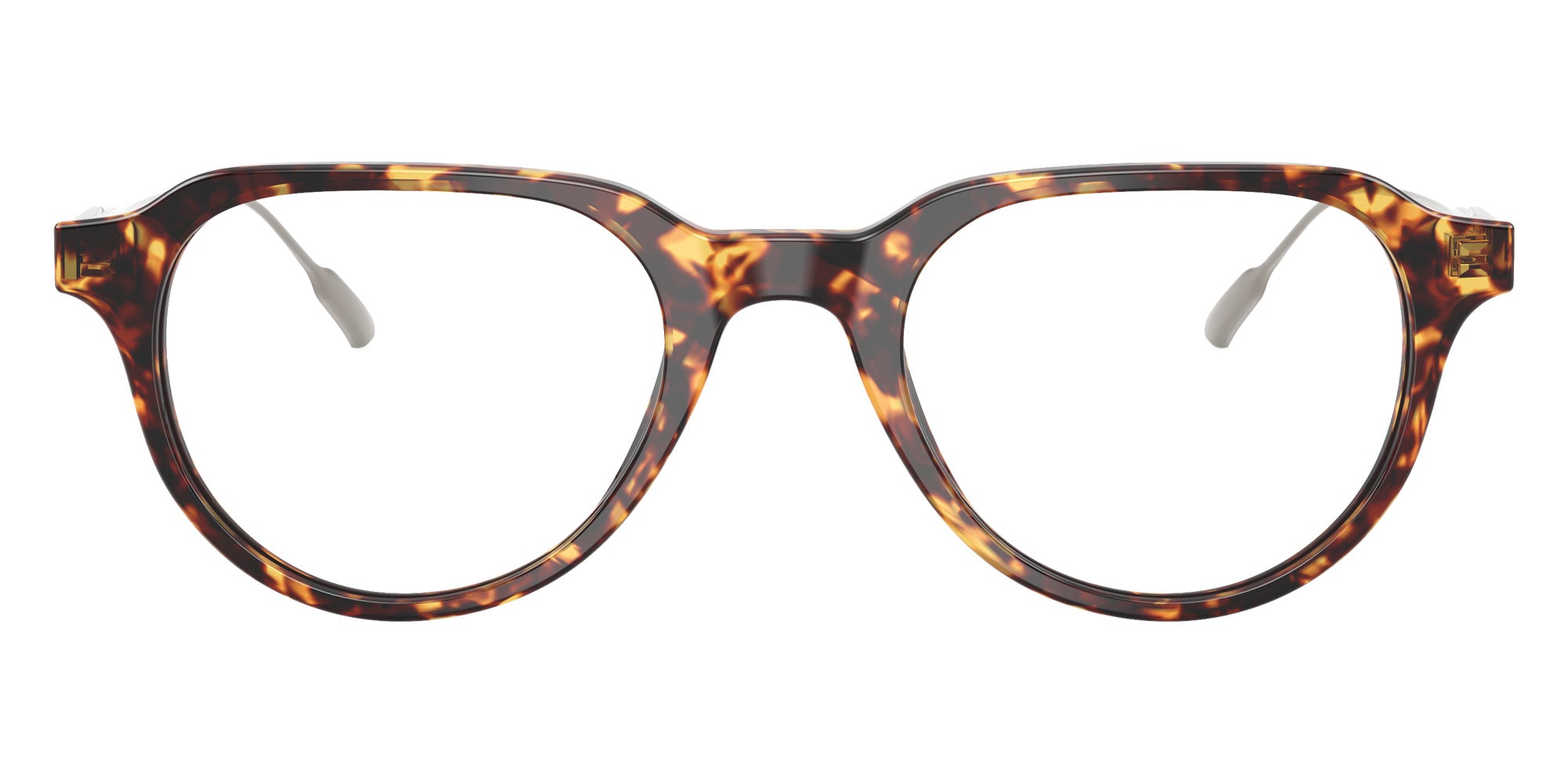 Moncler ME2031F 3038 52 - Shiny Tortoise Brown #id:me2031f3038_s:106100