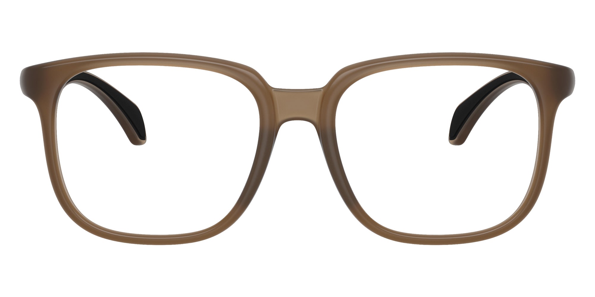 Moncler ME3003 5012 55 - Opal Matte Brown #id:me30035012_s:104100