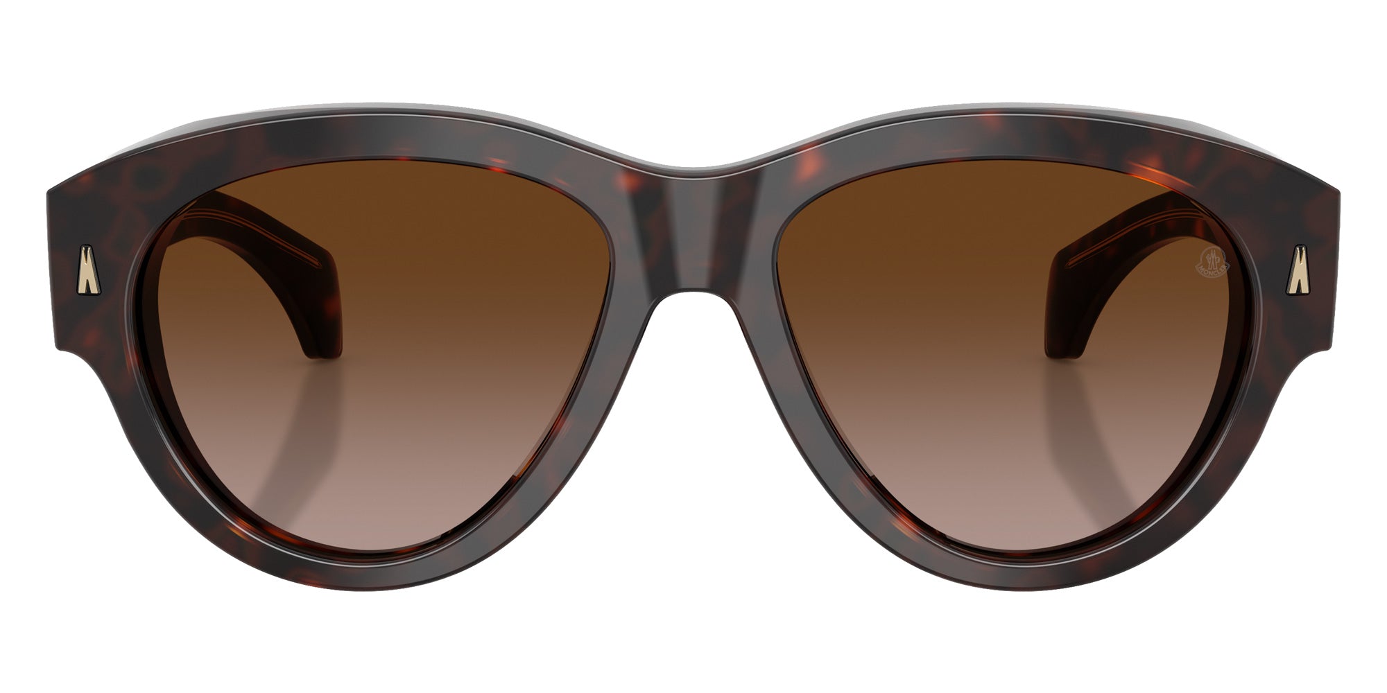 Moncler ME6016U Chicane 300213 55 - Shiny Havana / Brown Gradient #id:me6016u300213_s:102100