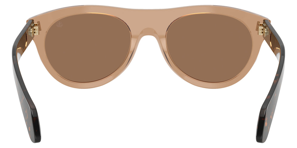 Moncler ME6022U Splash 303773 53 - Shiny Transparent Brown #id:me6022u303773_s:108115