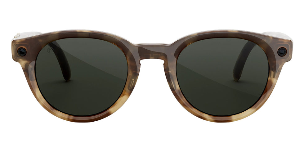 META Nova 44 - Honey Tortoise / Clear to Graphite Green Transitions #id:metanovahoneytortoisecleartographitegreentransitions_s:120100