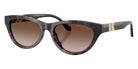 MICHAEL KORS MK2293U Napa Valley 394513 54 - Black Camo Tortoise / Brown Gradient #id:mk2293u394513_s:102105