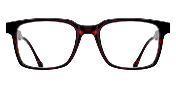 Dark Tortoise / 51-20-145