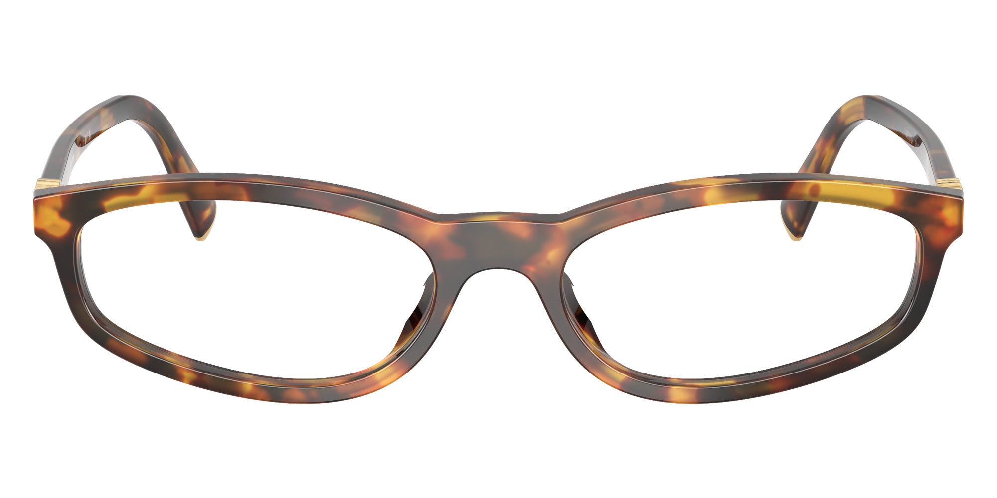 Miu Miu MU 01ZVF 14L1O1 54 - Honey Havana #id:mu01zvf14l1o1_s:100100