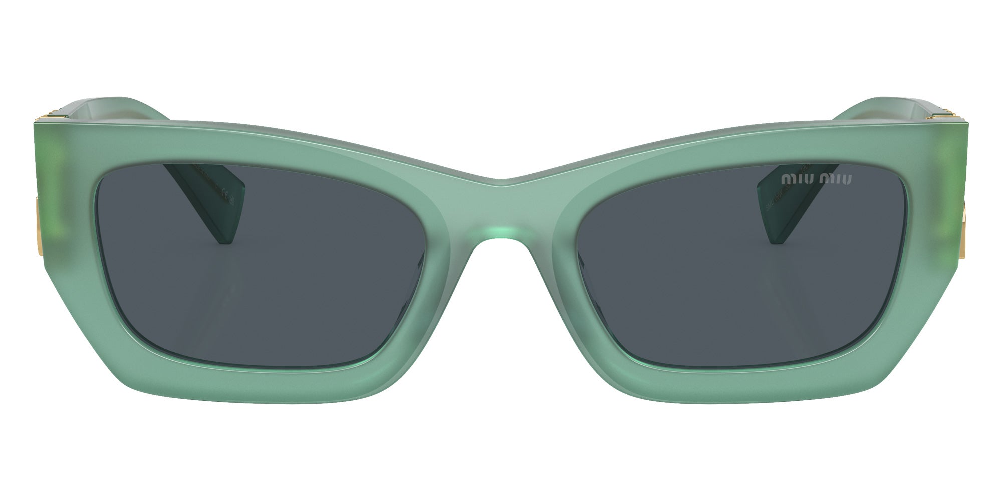 Miu Miu MU 09WS 19L09T 53 - Ivy Opal / Dark Gray #id:mu09ws19l09t_s:110100