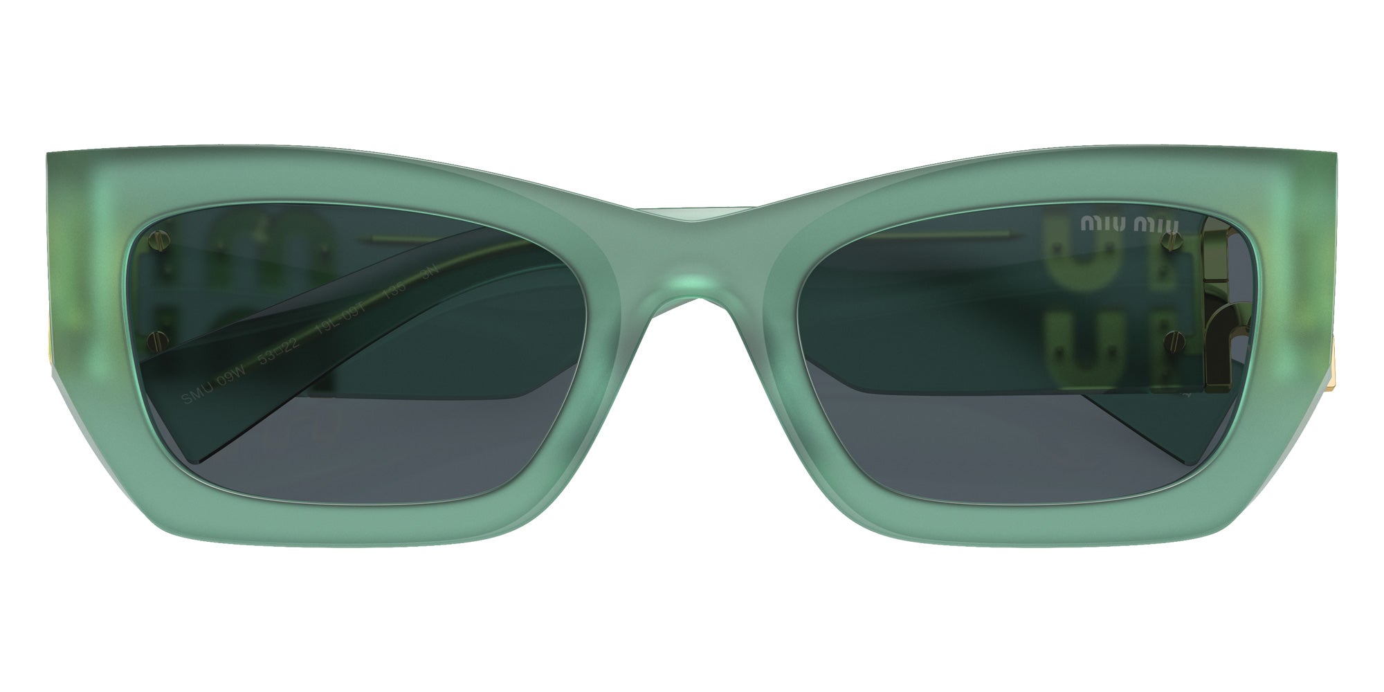 Miu Miu MU 09WS 19L09T 53 - Ivy Opal / Dark Gray #id:mu09ws19l09t_s:110120