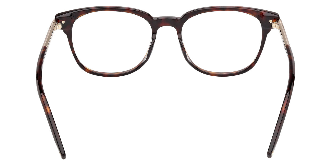 MCM MW5022-D 052 54 - Dark Havana #id:mw5022d052_s:104120