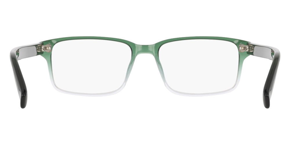 Nike 1001C 313 49 - Forest/Clear Gradient #id:ninike1001c313_s:102120