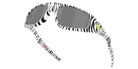 OAKLEY OO9528 Neoforma 952804 60 - Bengal #id:oo9528952804_s:106125
