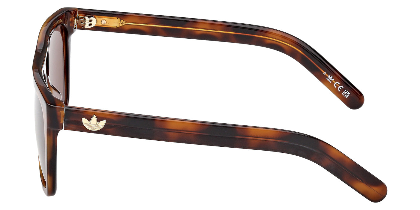 Adidas OR0140 52E 55 - Dark Havana / Brown #id:or014052e_s:104110