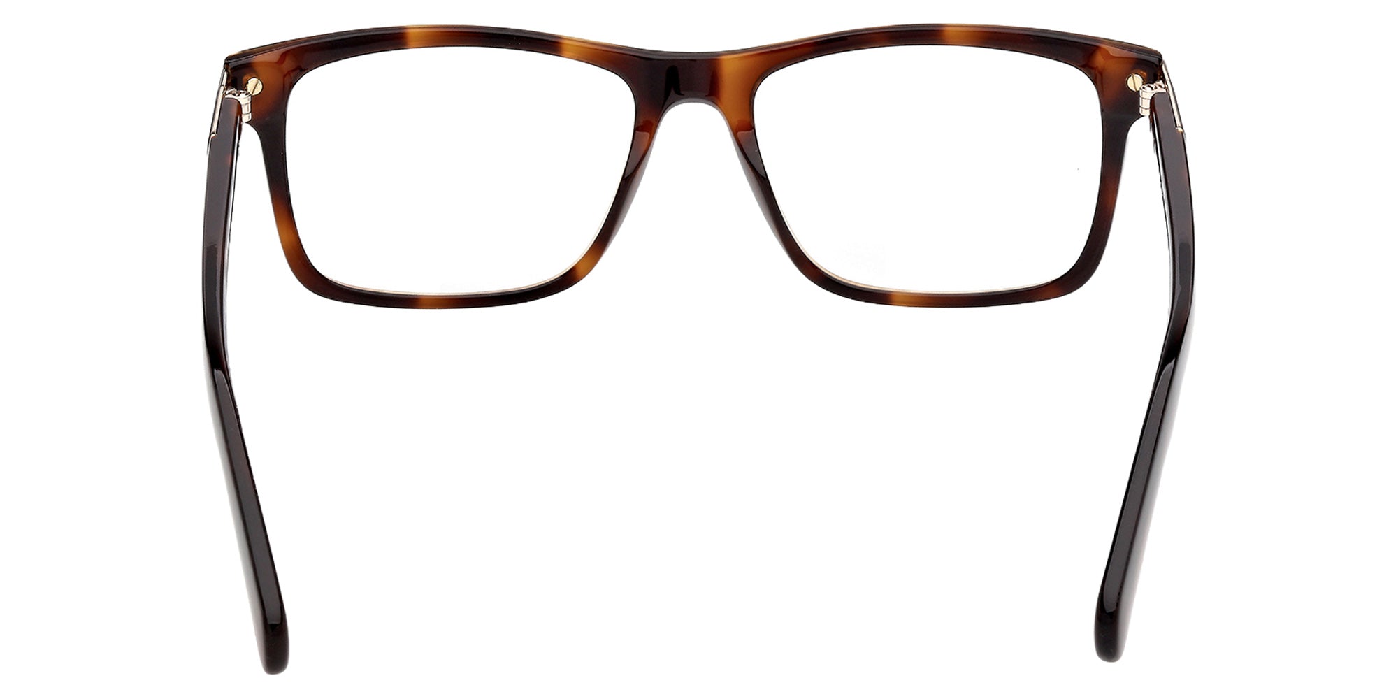 Adidas OR5143 052 53 - Dark Havana 052 #id:or5143052_s:104120