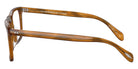 Oliver Peoples OV5189U Bernardo-R 1011 54 - Raintree #id:ov5189u1011_s:100110