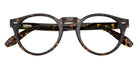 Oliver Peoples OV5587SU N.07 174121 48 - Atago Tortoise / Fern Wash to Dark Photochromic #id:ov5587su174121_s:102120