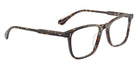 Oliver Peoples OV5603U Tillen 1741 53 - Atago Tortoise #id:ov5603u1741_s:100120
