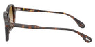 Oliver Peoples OV5635U Tassin 1801 54 - DTB / Honey Gradient #id:ov5635u1801_s:104110
