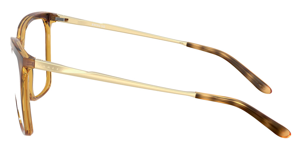 OAKLEY OX8189 BMNG SQ 818904 53 - Polished Brown Tortoise #id:ox8189818904_s:100110