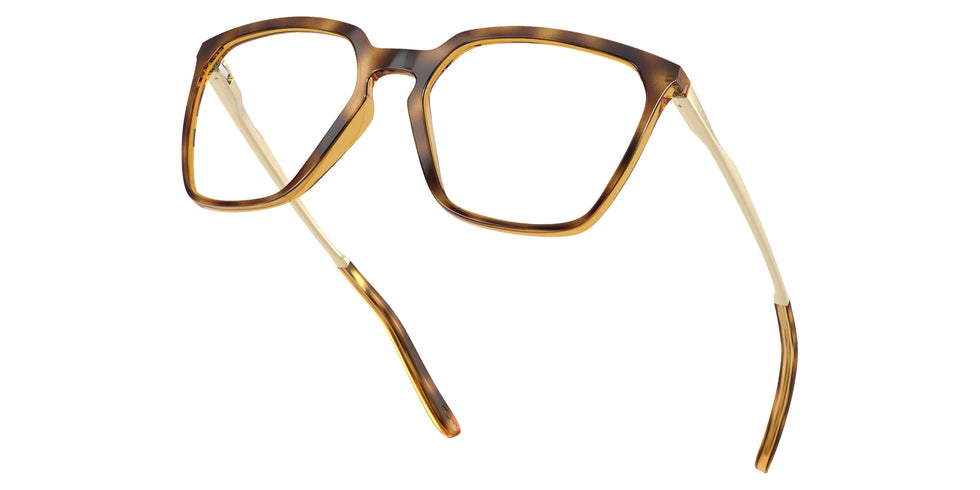 OAKLEY OX8189 BMNG SQ 818904 53 - Polished Brown Tortoise #id:ox8189818904_s:100125