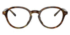 POLO RALPH LAUREN PH2251U 5017 48 - Shiny Jerry Havana #id:ph2251u5017_s:100100