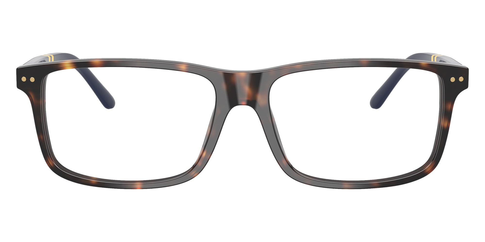 POLO RALPH LAUREN PH2296F 5003 55 - Shiny Dark Havana #id:ph2296f5003_s:100100