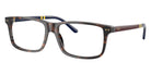 POLO RALPH LAUREN PH2296F 5003 55 - Shiny Dark Havana #id:ph2296f5003_s:100105