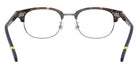 POLO RALPH LAUREN PH2298D 5003 49 - Shiny Havana #id:ph2298d5003_s:102115