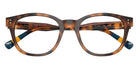 POLO RALPH LAUREN PH2303U 5003 50 - Shiny Havana #id:ph2303u5003_s:104120