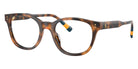 POLO RALPH LAUREN PH2303U 5003 50 - Shiny Havana #id:ph2303u5003_s:104105