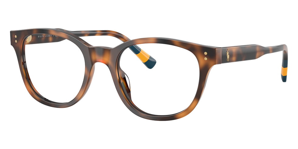 POLO RALPH LAUREN PH2303U 5003 50 - Shiny Havana #id:ph2303u5003_s:104105