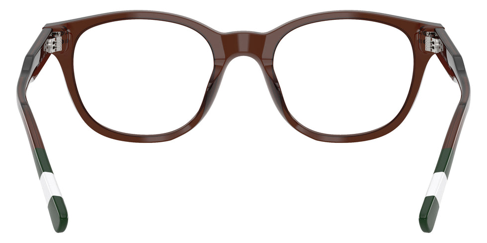 POLO RALPH LAUREN PH2303U 6315 50 - Shiny Transparent Brown #id:ph2303u6315_s:112115