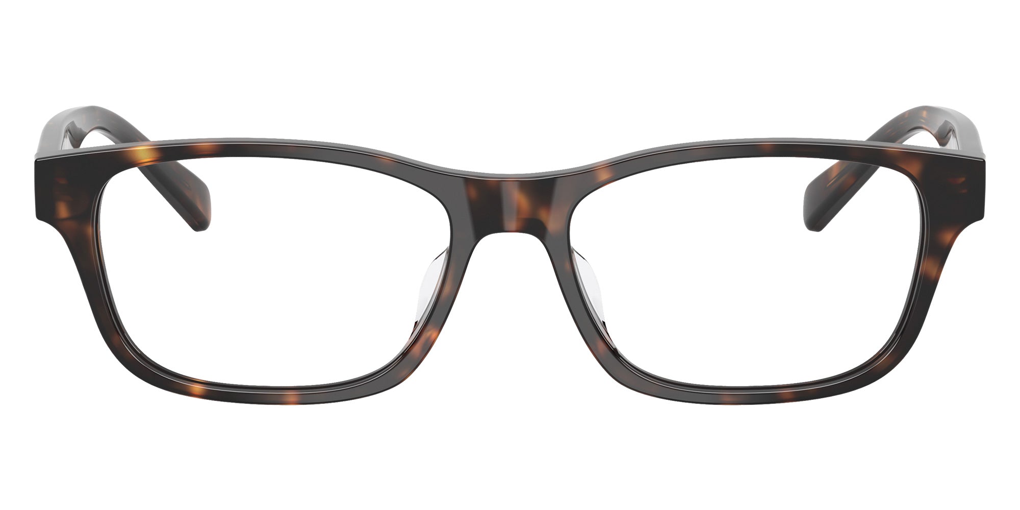 POLO RALPH LAUREN PH2306D 5003 54 - Shiny Dark Havana #id:ph2306d5003_s:102100