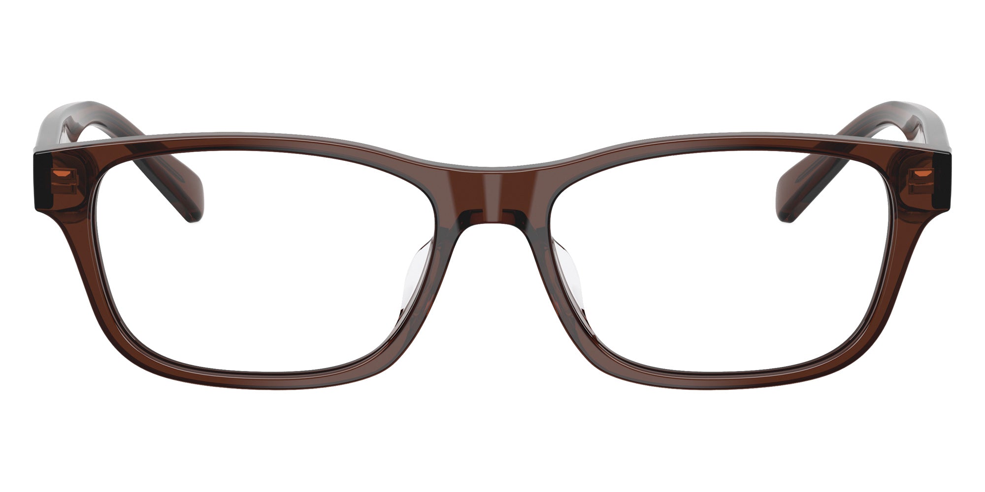 POLO RALPH LAUREN PH2306D 6282 54 - Shiny Transparent Brown #id:ph2306d6282_s:106100