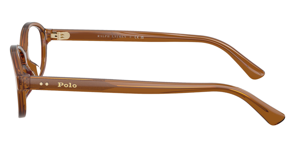 POLO RALPH LAUREN PH2311U 6371 51 - Shiny Transparent Brown #id:ph2311u6371_s:112110
