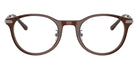 POLO RALPH LAUREN PH2313D 6282 48 - Shiny Transparent Brown #id:ph2313d6282_s:104100