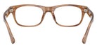 POLO RALPH LAUREN PH2317F 6138 52 - Shiny Tortoise #id:ph2317f6138_s:104115