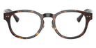 POLO RALPH LAUREN PH2318F 5003 49 - Shiny Dark Havana #id:ph2318f5003_s:102100