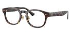 POLO RALPH LAUREN PH2318F 5003 49 - Shiny Dark Havana #id:ph2318f5003_s:102105