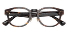 POLO RALPH LAUREN PH2318F 5003 49 - Shiny Dark Havana #id:ph2318f5003_s:102120