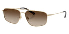POLO RALPH LAUREN PH3164 939313 58 - Shiny Pale Gold / Brown Gradient Dark Brown #id:ph3164939313_s:104105