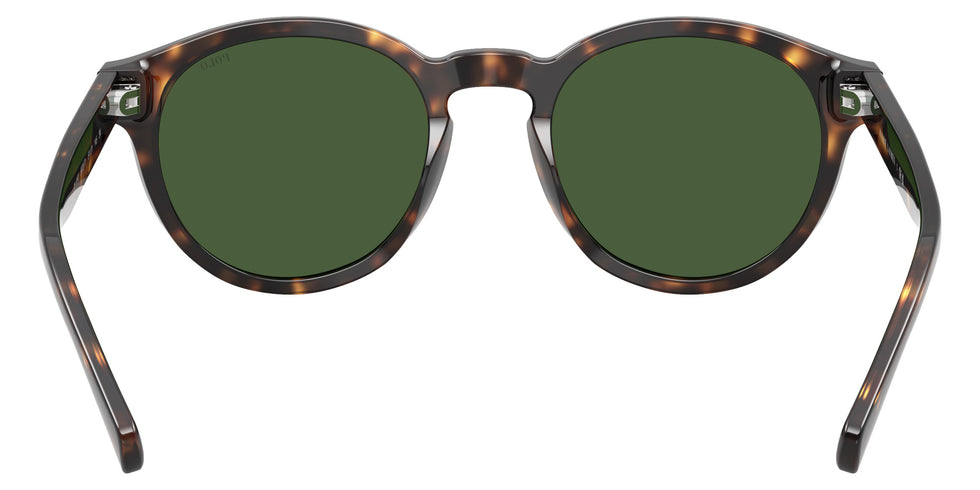 POLO RALPH LAUREN PH4192 500371 51 - Shiny Dark Havana / Bottle Green #id:ph4192500371_s:100115