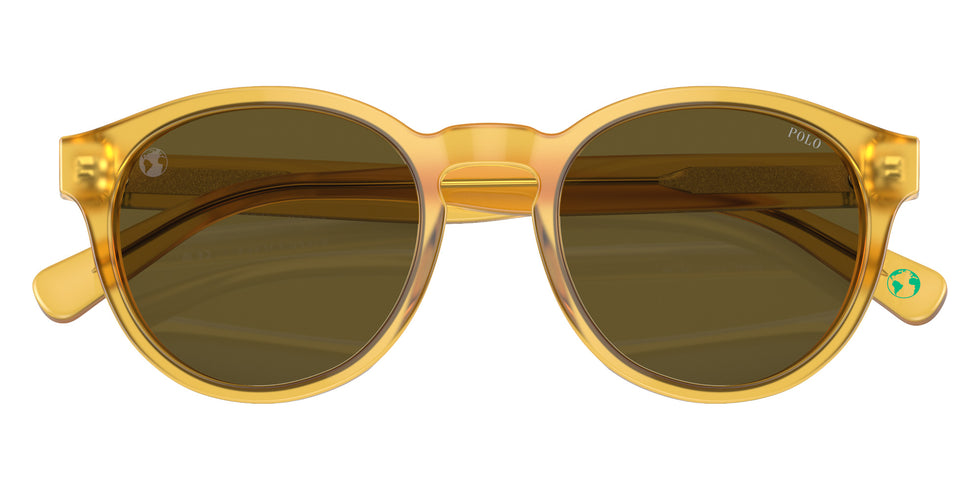 POLO RALPH LAUREN PH4192 500573 51 - Shiny Opal Honey #id:ph4192500573_s:100120