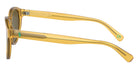 POLO RALPH LAUREN PH4192 500573 51 - Shiny Opal Honey #id:ph4192500573_s:100110