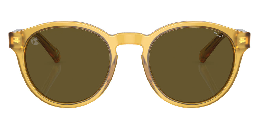 POLO RALPH LAUREN PH4192 500573 51 - Shiny Opal Honey #id:ph4192500573_s:100100