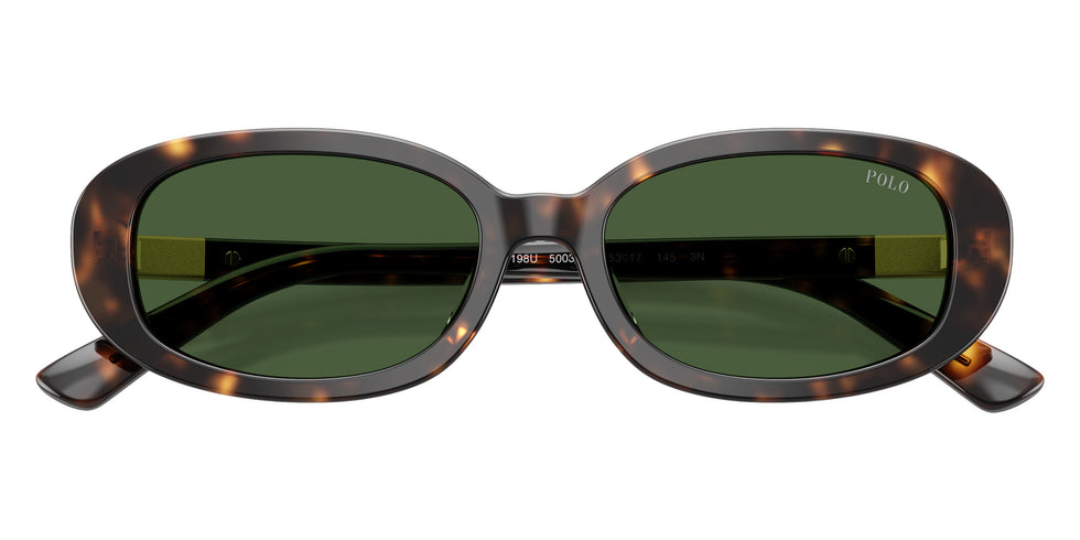 POLO RALPH LAUREN PH4198U 500371 53 - Shiny Dark Havana / Bottle Green #id:ph4198u500371_s:100120