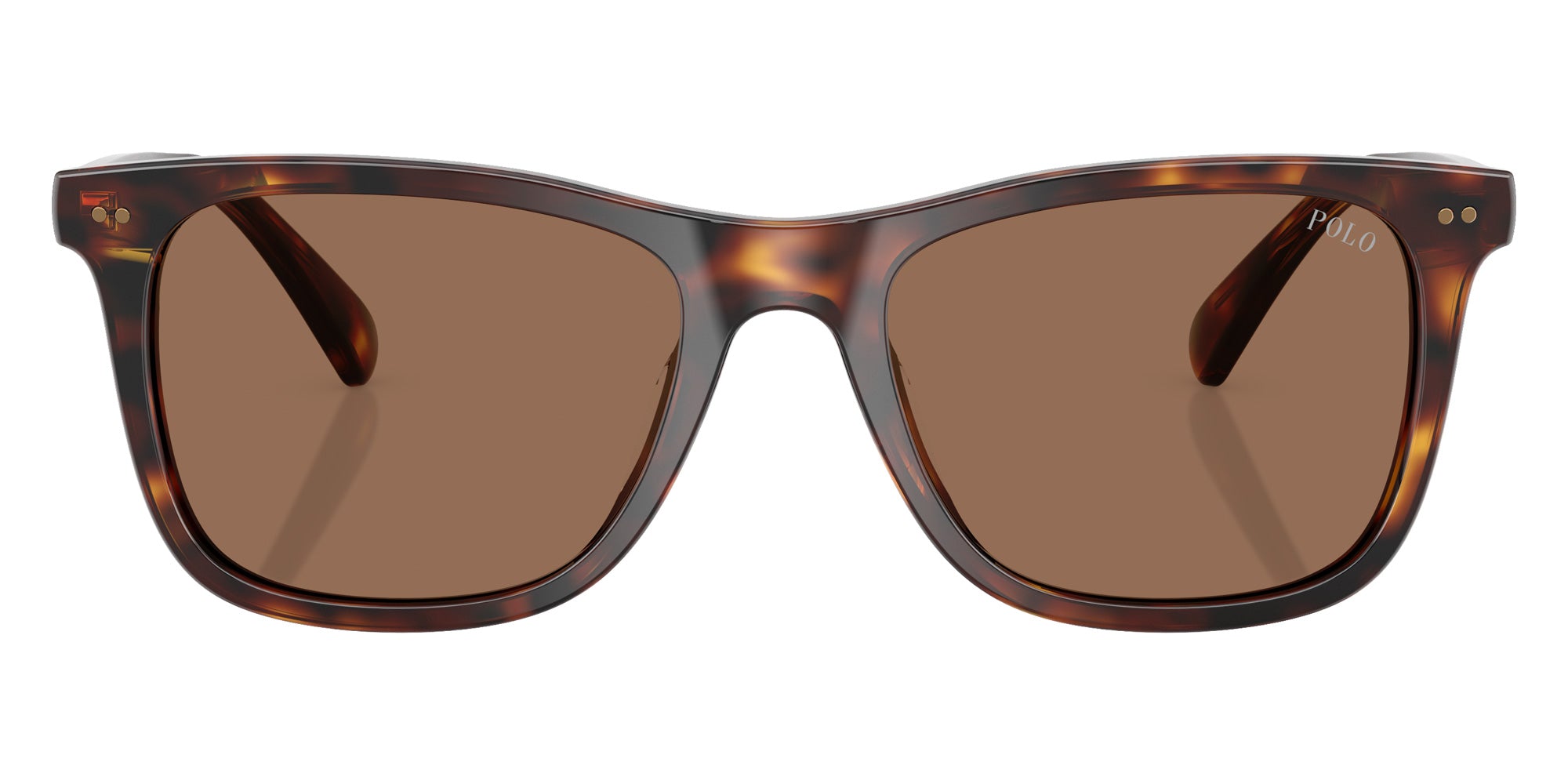 POLO RALPH LAUREN PH4220U 613773 55 - Shiny Brown Tortoise / Dark Brown #id:ph4220u613773_s:100100