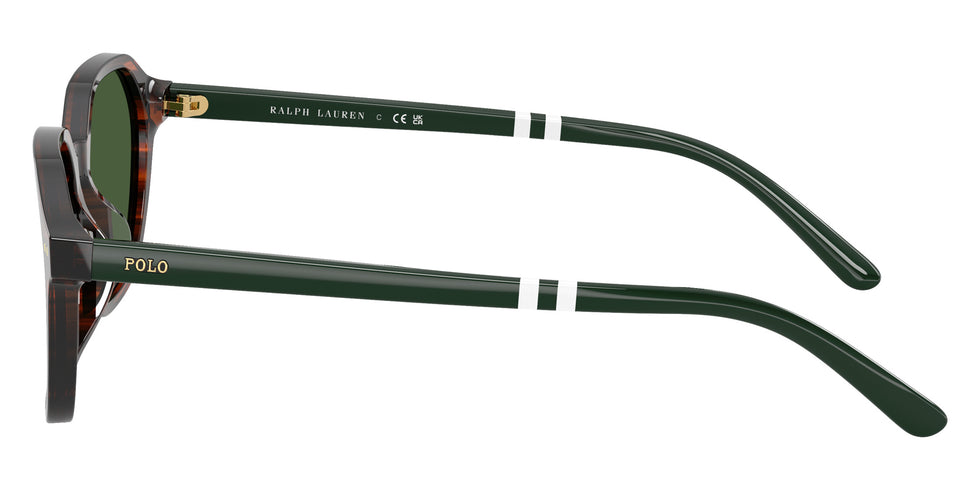 POLO RALPH LAUREN PH4234U 631571 54 - Shiny Striped Brown / Bottle Green #id:ph4234u631571_s:106110