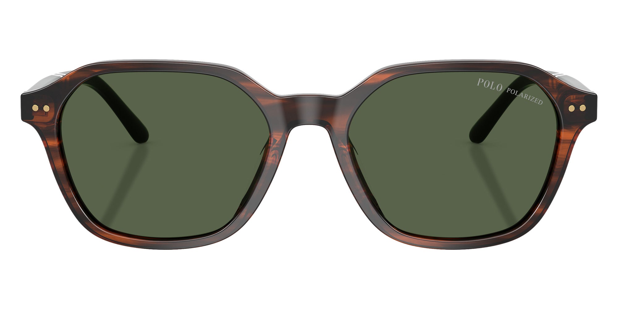 POLO RALPH LAUREN PH4234U 63159A 54 - Shiny Havana / Polarized Green #id:ph4234u63159a_s:108100