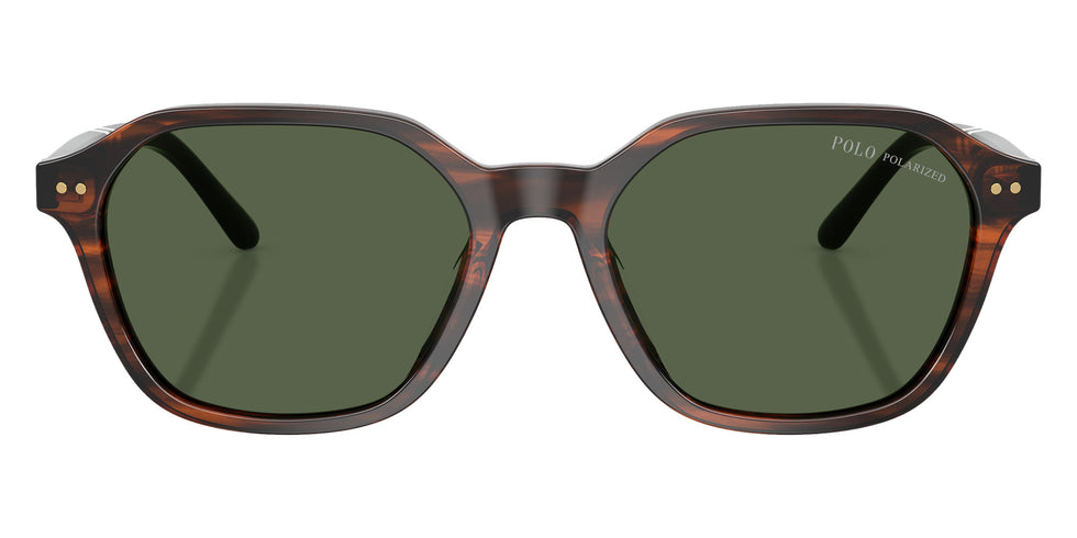 POLO RALPH LAUREN PH4234U 63159A 54 - Shiny Havana / Polarized Green #id:ph4234u63159a_s:108100