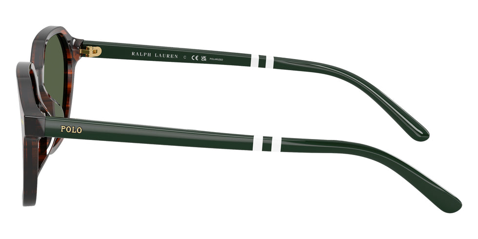 POLO RALPH LAUREN PH4234U 63159A 54 - Shiny Havana / Polarized Green #id:ph4234u63159a_s:108110