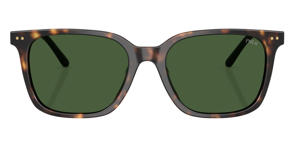 POLO RALPH LAUREN PH4235U 500371 54 - Shiny Dark Havana / Bottle Green #id:ph4235u500371_s:102100