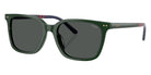 POLO RALPH LAUREN PH4235U 614087 54 - Shiny Green / Dark Gray #id:ph4235u614087_s:104105